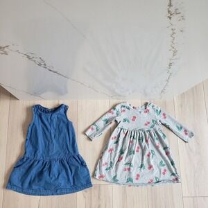 Baby Gap Dress Bundle Girls 3T Blue Gray Cherry Print Denim Casual Playwear Lot